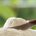 UP 남재현 원장 네덜란드 산양유 단백질 1000 초유 분말 270g 3통 세트