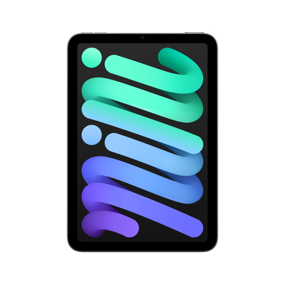 강력한 성능 휴대성 애플 아이패드 미니 7세대 Wi-Fi 256GB 스페이스 그레이